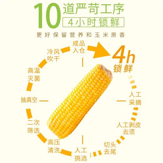 甜田苞玉米 商品图1