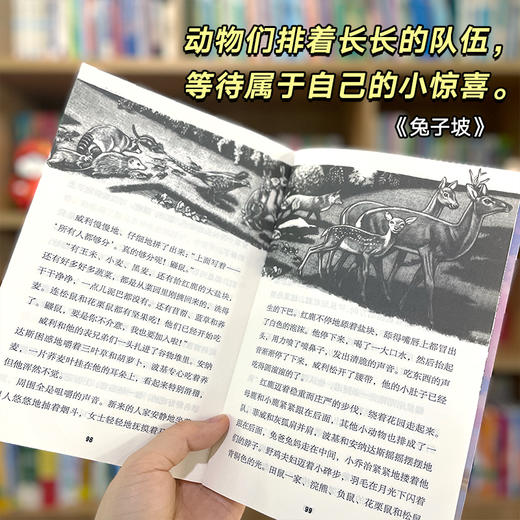 纽伯瑞儿童文学奖精选 商品图3