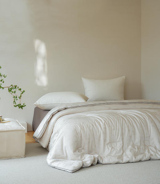 植物大豆暖润被-冬被-银灰色-200*230cm 2750g 商品图2