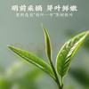 【安吉白茶】去寻2025新茶叶礼盒特级 商品缩略图3