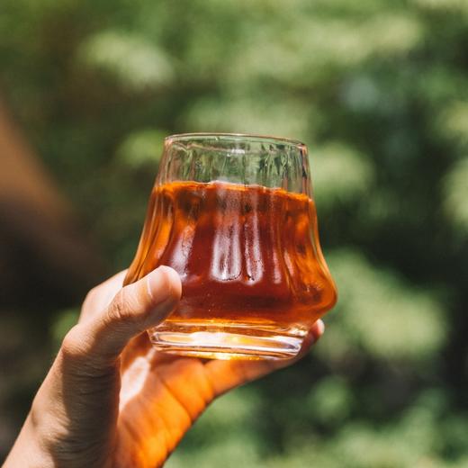 杨梅酒 传统黄酒酒曲 鲜杨梅果汁 原浆发酵 酸醇微甜 鲜爽生津 商品图1