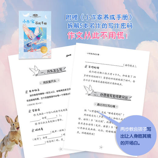 纽伯瑞儿童文学奖精选 商品图2