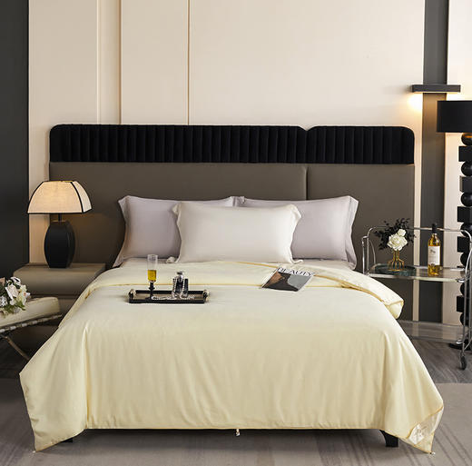 增加睡眠幸福感🛏️【沁柔野生蚕丝子母被】100%蚕丝填充💯质地柔滑. 恒温轻盈. 手感蓬松 商品图0