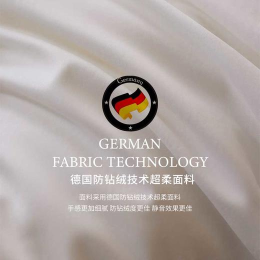 【品牌直发】加倍生活 高奢艾菲尔法国进口鸭绒被 ICEQUEEN冰雪皇后系列羽绒被子 A类标准95白鸭绒被芯 商品图2