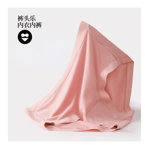 袜尖尖 裤头乐女款内裤 商品图3