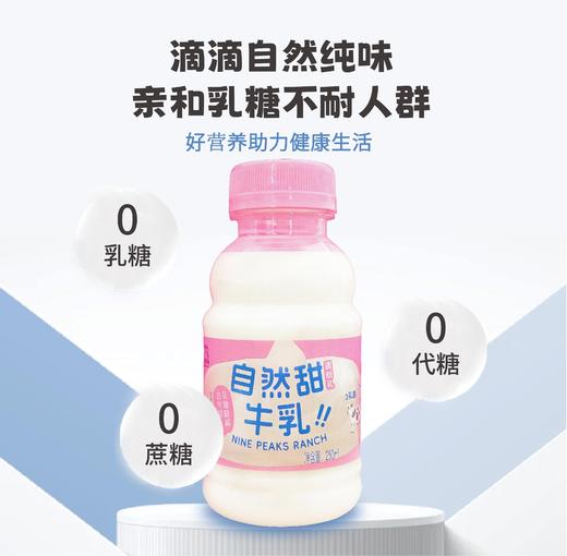 预售3-7天发货&九峰牧场自然甜&5.0牛乳牛奶#自然甜牛乳无乳糖好吸收&5.0优质乳蛋白高钙纯牛奶，短保15天，顺丰发货 商品图3