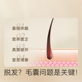 京东京造防脱洗发水生姜侧柏叶固发养发男女士去油屑止痒蓬松洗头膏露金榜 /个人护理 /洗发护发 /洗发水