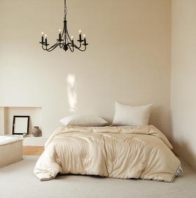 肽素润肤被-冬被-香槟色-200*230cm  2750g