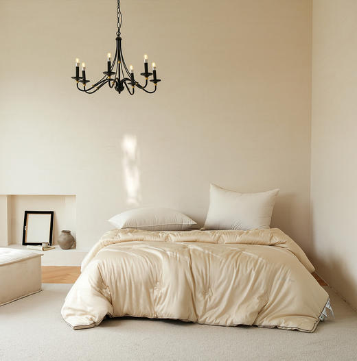 肽素润肤被-冬被-香槟色-200*230cm  2750g 商品图0