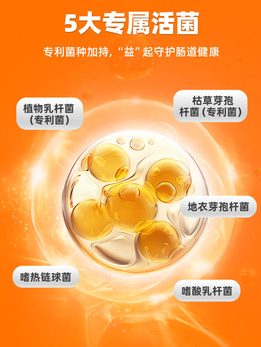 普安特猫咪益生菌膏调理肠胃呕吐腹泻软便拉稀消化不良补充营养剂猫用 商品图4