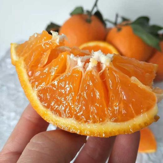 四川蒲江爱媛果冻橙皮薄多汁 纯甜无渣 商品图1