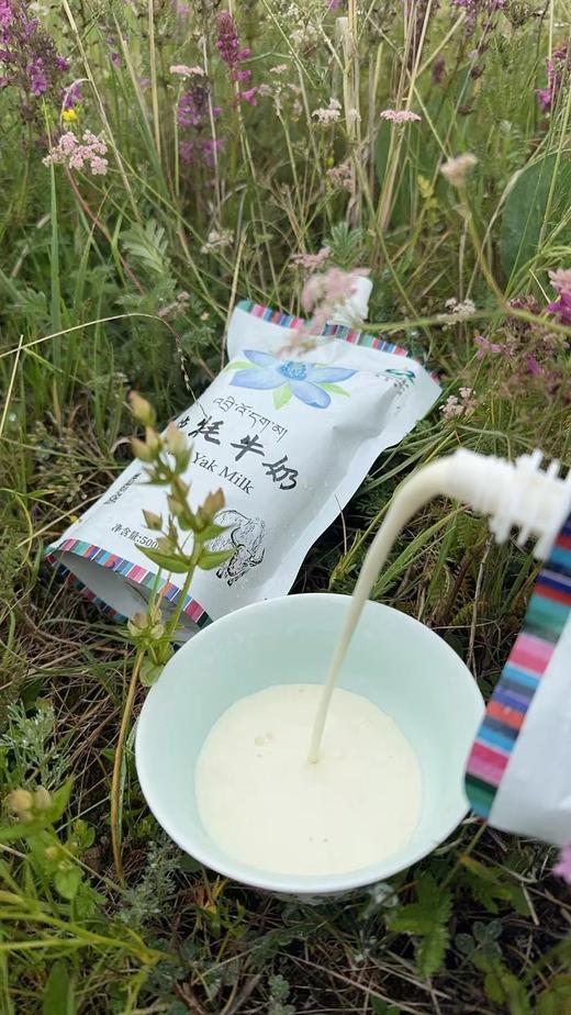 青藏高原纯牦牛奶|0添加高钙半脱脂牛奶  |意大利工艺|基地直发 商品图2