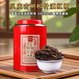 2026春茶松针滇红茶浓香型红茶云南凤庆滇红散茶叶500g
