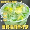 【夏日一抹清新❗️薄荷话梅青柠茶】薄荷柠檬味的夏天，清新话梅搭配柠檬，再加入薄荷的一丝清凉，保留新鲜水果汁水，满满VC喝到饱，水果冷泡茶薄荷话梅青柠茶袋装独立包装，组合花果茶代发水果茶L 商品缩略图3