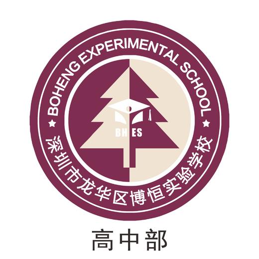通版深圳市龙华区博恒学校熨烫校徽校服礼姓名章可熨烫现货现发51 商品图1