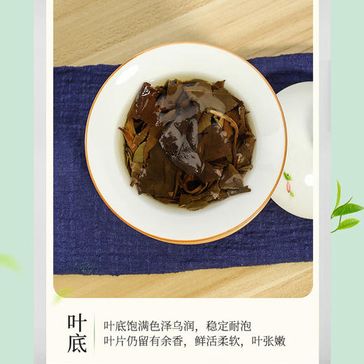 素言茶坊~山境·花好月圆 三年陈寿眉白茶饼精美茶礼350克 商品图5