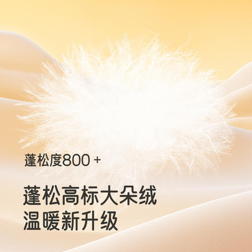 【商场同款】英氏儿童羽绒连帽外套长款保暖锁温防寒舒适冬季新款超韧绒 商品图3