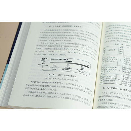 数据资产升维：从场景合规到价值释放 高亚平著 法律出版社 商品图3