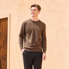 半身缘男装 秋季休闲商务舒适百搭毛衫253312M01210010