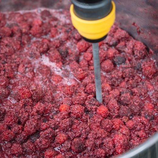 杨梅酒 传统黄酒酒曲 鲜杨梅果汁 原浆发酵 酸醇微甜 鲜爽生津 商品图5