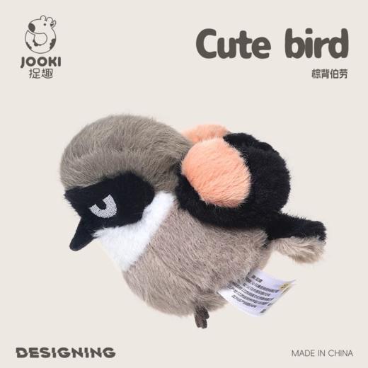 KZ1727 棕背伯劳  11cm 商品图0