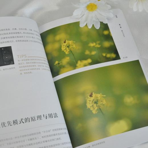 *基础学数码摄影 100个关键技法 摄影书籍入门自学构图用光技巧数码单反摄影教程拍摄技法*基础初学摄影书摄影笔记 商品图3