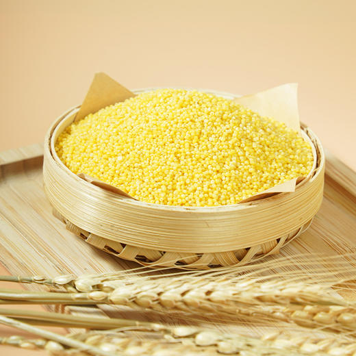 【陇间柒月】 小谷励·小米300g 商品图2