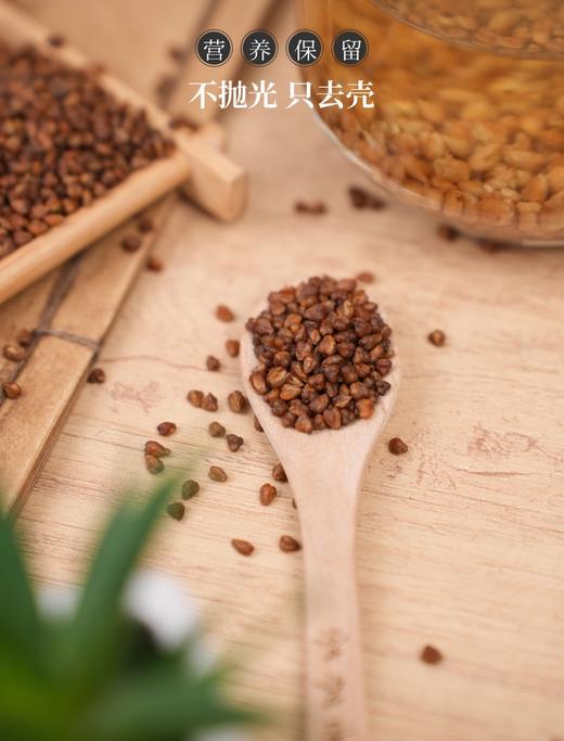 荞丞相黑苦茶 商品图4