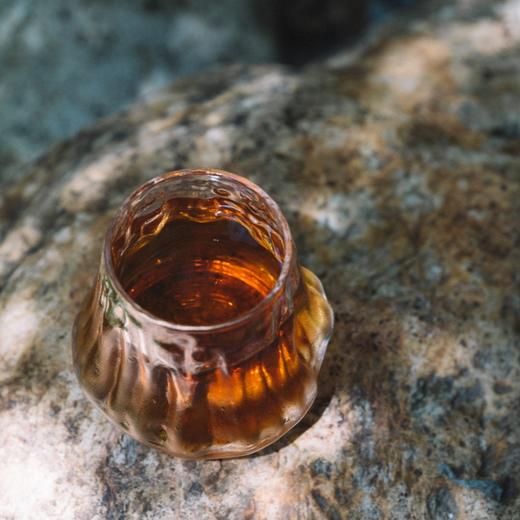 杨梅酒 传统黄酒酒曲 鲜杨梅果汁 原浆发酵 酸醇微甜 鲜爽生津 商品图3