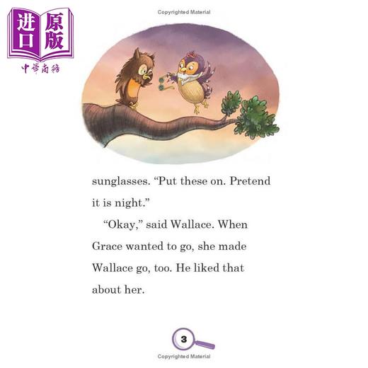 【中商原版】华莱士和格蕾丝 接手案件 Wallace and Grace Take the case 英文原版 儿童章节故事侦探推理 全彩插图 进口书 商品图4