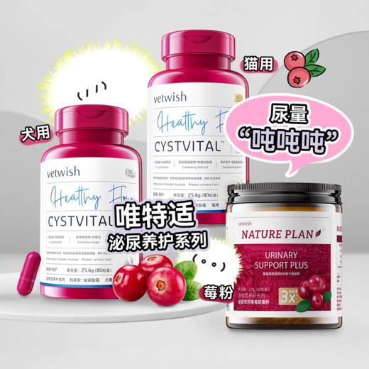 vetwish唯特适 宠物泌尿片 80粒/瓶 商品图0