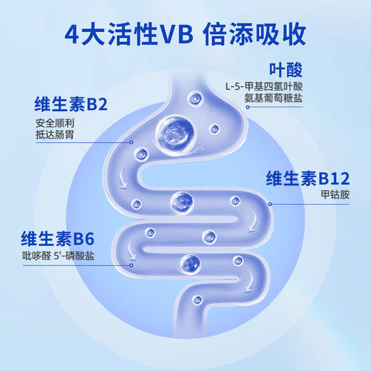 Thorne悦恩美国进口复合活性B族维生素b胶囊 男女活性VB官方旗舰B104 商品图1