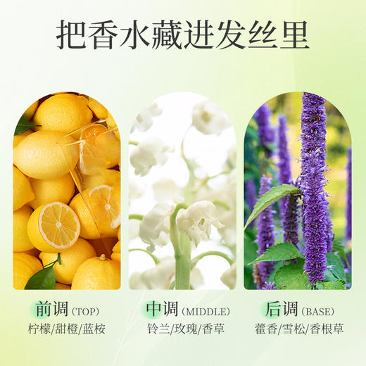 安贝儿  植物精粹养护洗发露(油性发质)压泵款460ml 商品图5