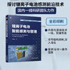 官网 锂离子电池智能感测与管理 魏中宝 电池管理算法 锂离子电池智能感测技术原理应用案例书籍 商品缩略图1