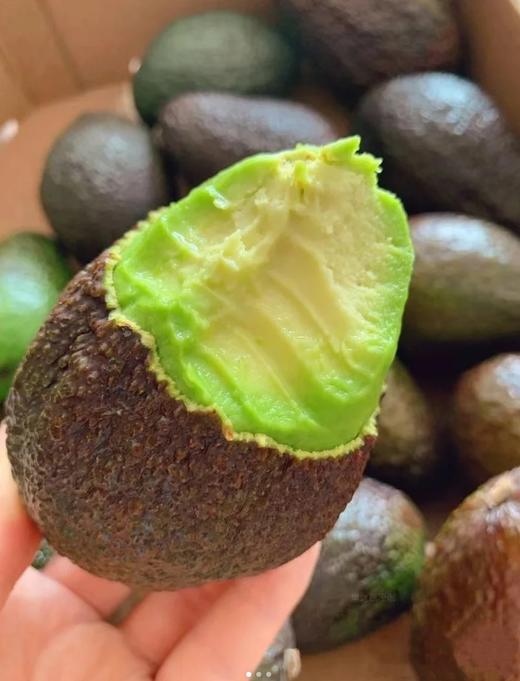 秘鲁进口即食牛油果大果*6粒 商品图1