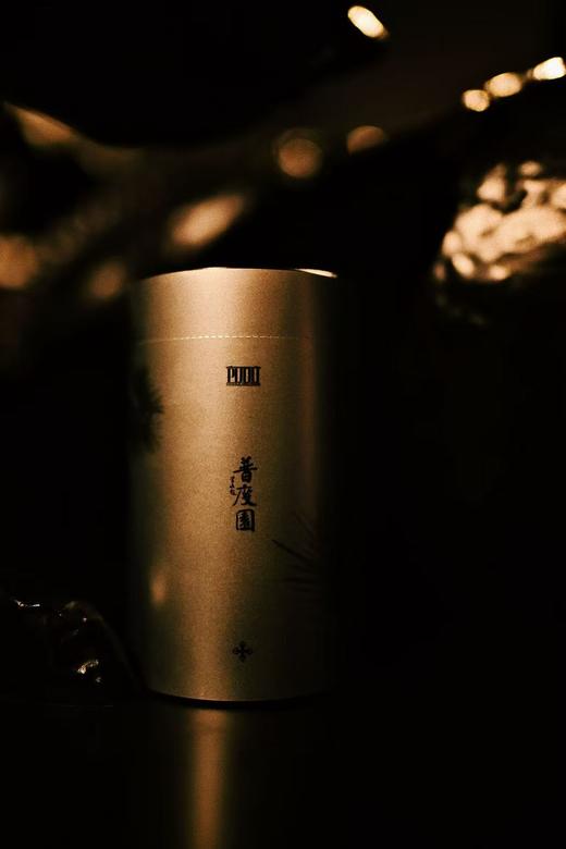 2025桐木关野茶新茶品鉴装65g 商品图2