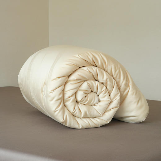 肽素润肤被-冬被-香槟色-200*230cm  2750g 商品图7