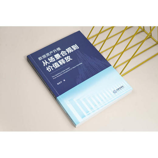 数据资产升维：从场景合规到价值释放 高亚平著 法律出版社 商品图2