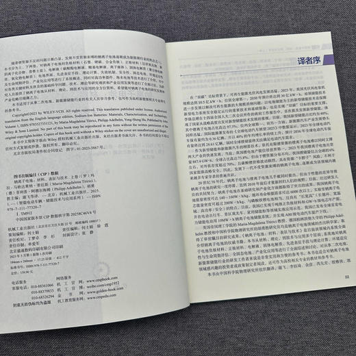 官网 钠离子电池 材料 表征与技术 上卷 玛拉 马格达莱纳 蒂廷斯 钠离子电池材料技术理论研究现状产业应用发展书籍 商品图2