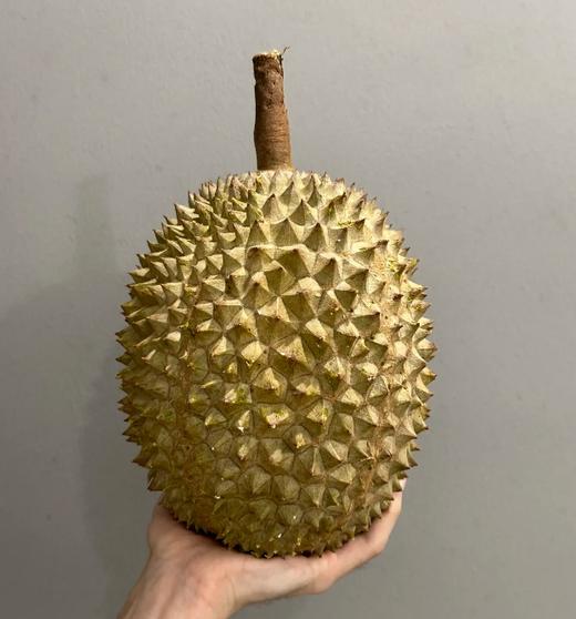 爆笑品牌马来西亚液氮D197猫山王榴莲钻级双A果保五房 商品图7