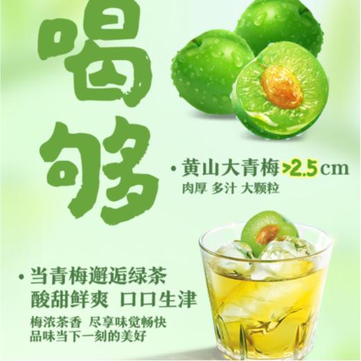 康师傅 青梅绿茶果味茶饮品 500ml/瓶 商品图2