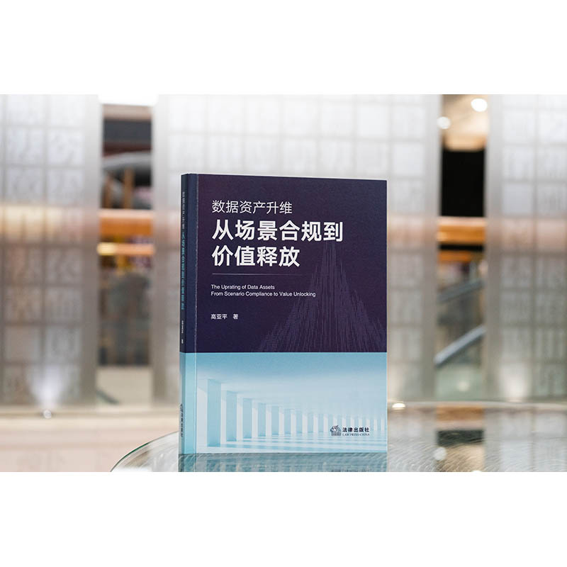 数据资产升维：从场景合规到价值释放 高亚平著 法律出版社