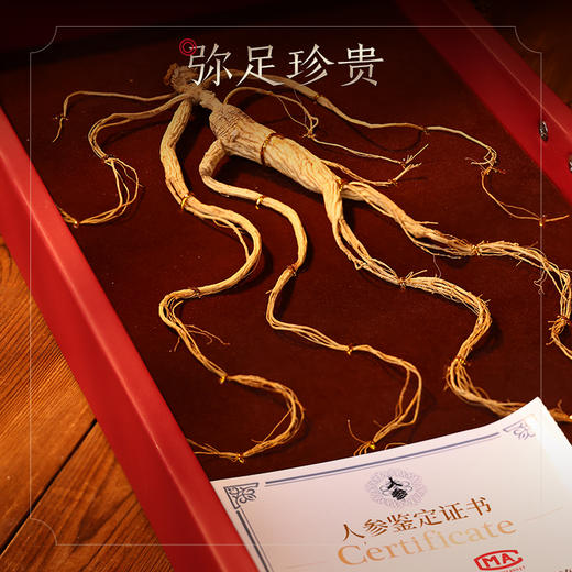 热销M【野山参开窗礼盒】长白山人参野山参礼盒装 一参一证8g/15g 商品图2