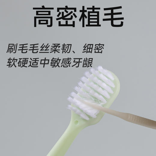 牙博士幻海羽感DR6203 商品图3