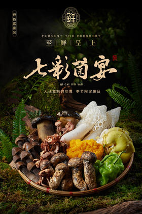 宁正丰七彩菌宴鲜品598型（菌彩盛宴装） （净含量：1150克）卡券/现货直发