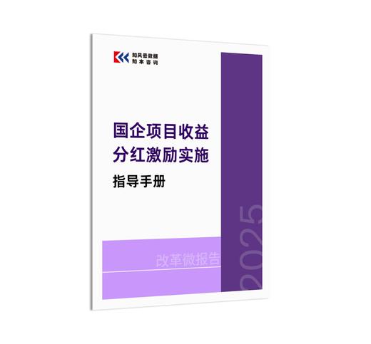 改革微报告 | 国企项目收益分红激励实施指导手册（2025年） 商品图1