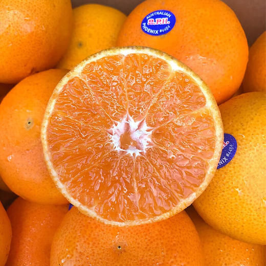 TY节日水果特惠专享——鲜知·鲜有禄【鲜享5.0】 商品图2