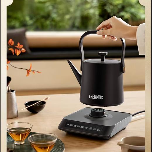 【春上新】10楼 膳魔师  膳魔师电热水壶吊牌价780元 活动价699元 商品图1