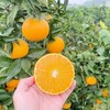 四川蒲江爱媛果冻橙皮薄多汁 纯甜无渣 商品缩略图5