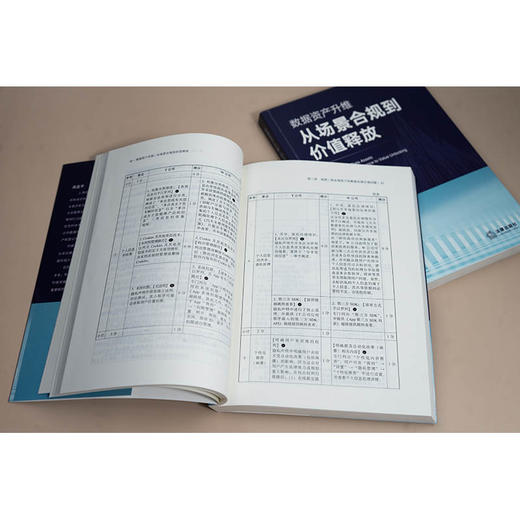 数据资产升维：从场景合规到价值释放 高亚平著 法律出版社 商品图4